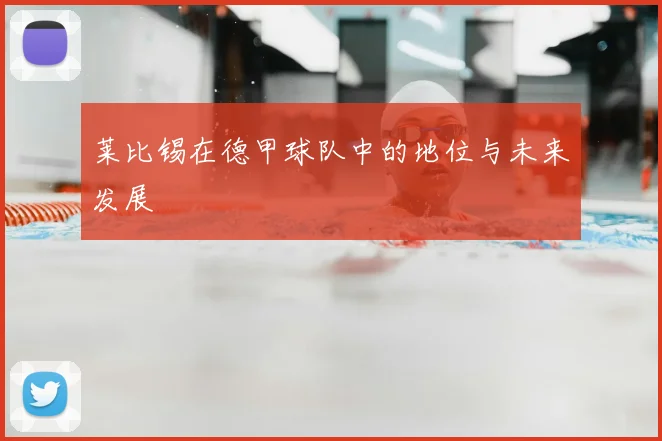 莱比锡在德甲球队中的地位与未来发展