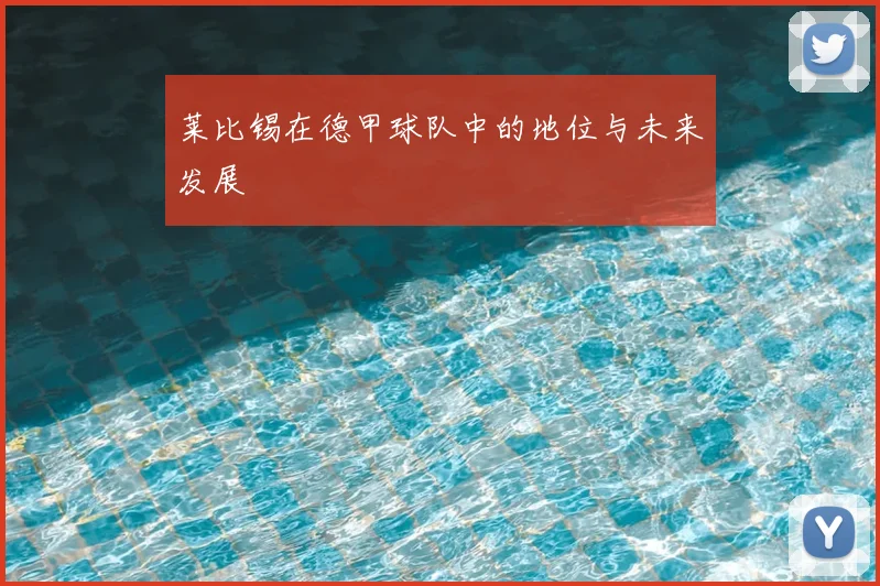 莱比锡在德甲球队中的地位与未来发展
