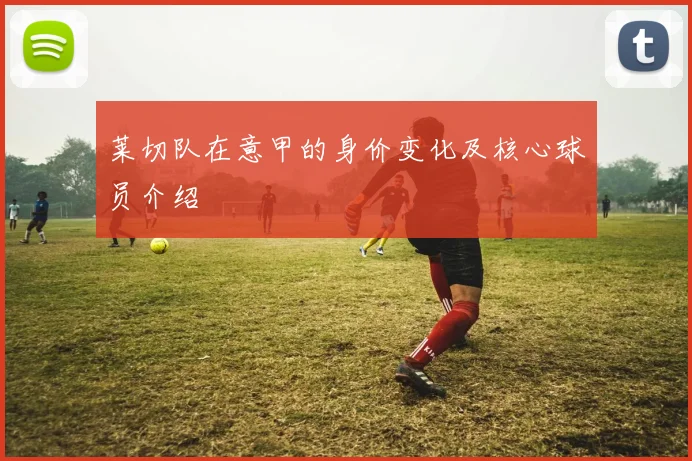 莱切队在意甲的身价变化及核心球员介绍