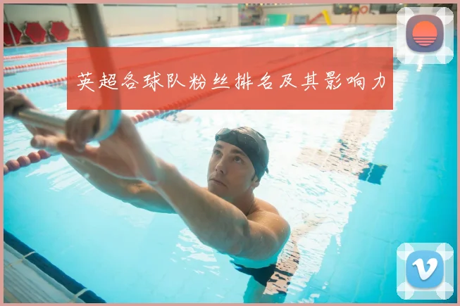 英超各球队粉丝排名及其影响力