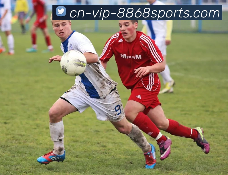 8868体育平台生态图